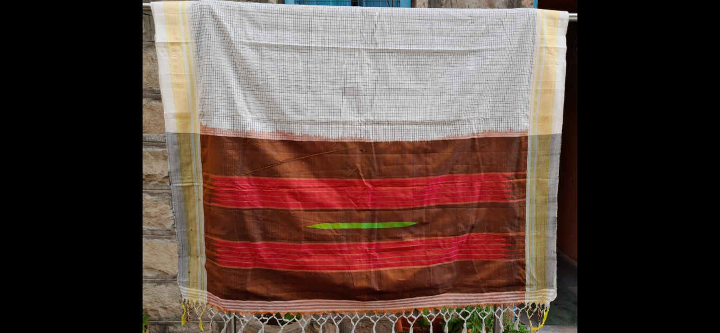 Ilkal Handloom Saree -Checks w/ White border