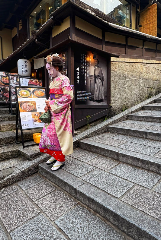 Travel Diaries - Japan