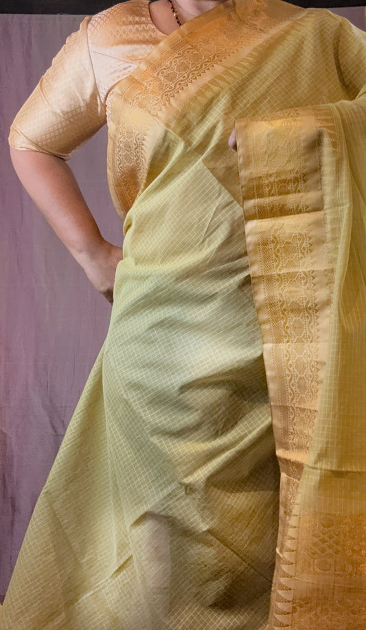 Gadwal Handloom Cotton Saree - Pista/ Cream
