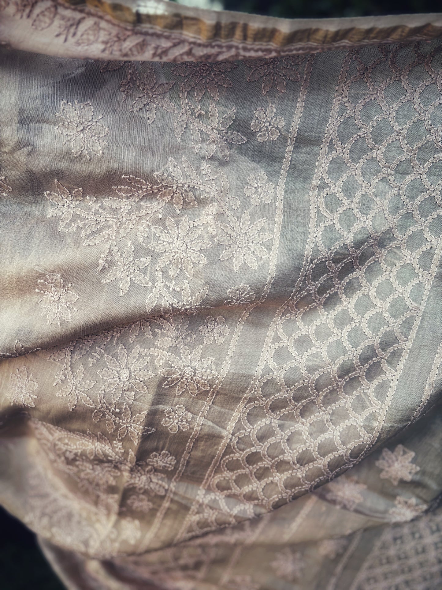 Chikankari Hand embroidery Chanderi Silk Saree - Fawn