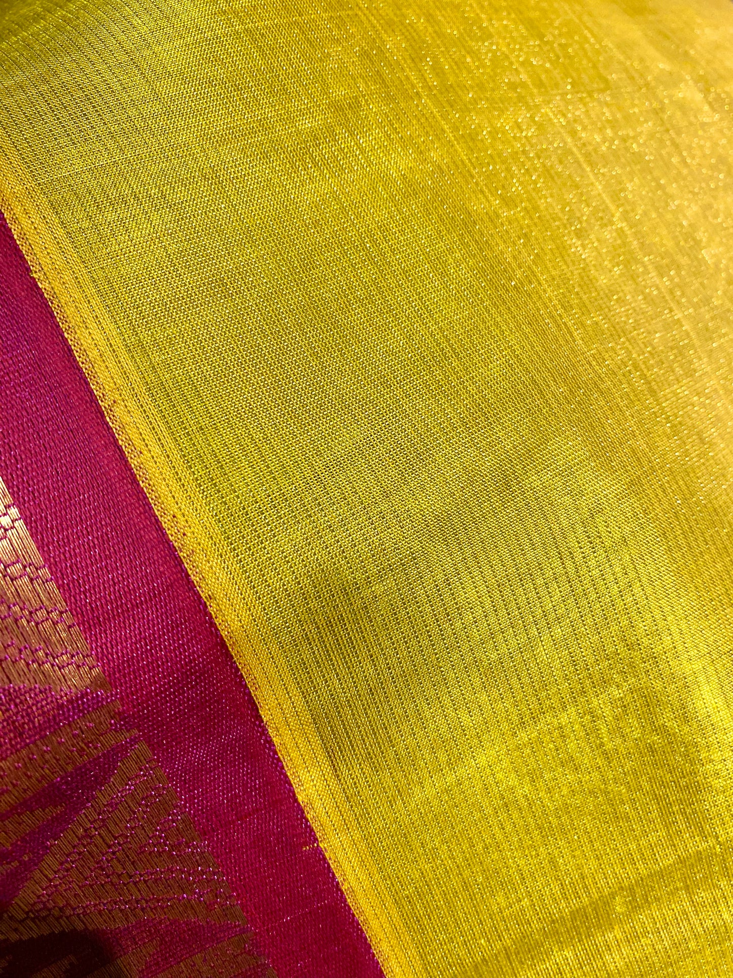 Kanjivaram Silk Cotton Saree Korvai Border - Light Green w/ Purple